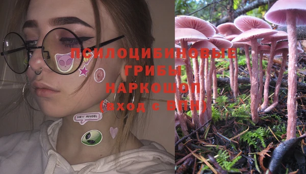 ПСИЛОЦИБИНОВЫЕ ГРИБЫ Абдулино